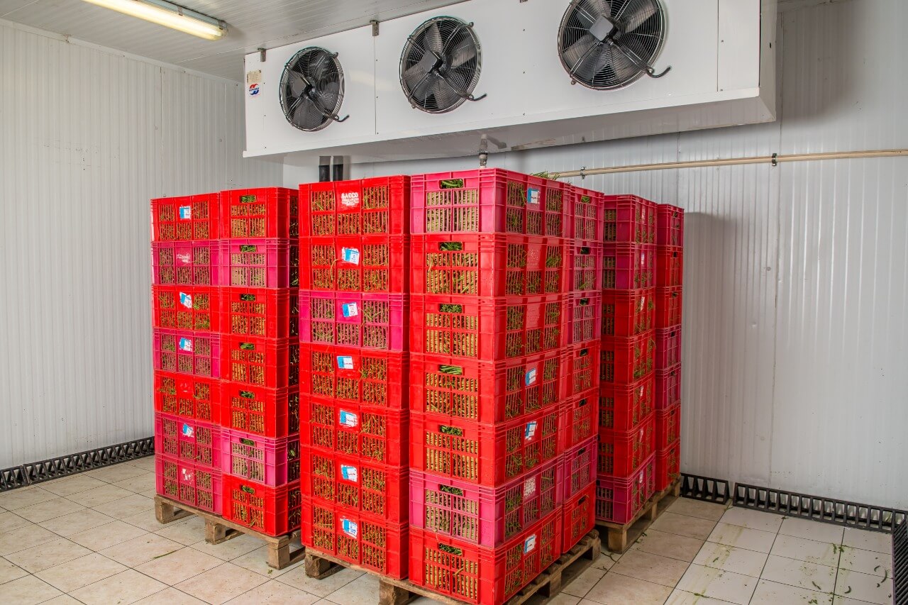 packhouse